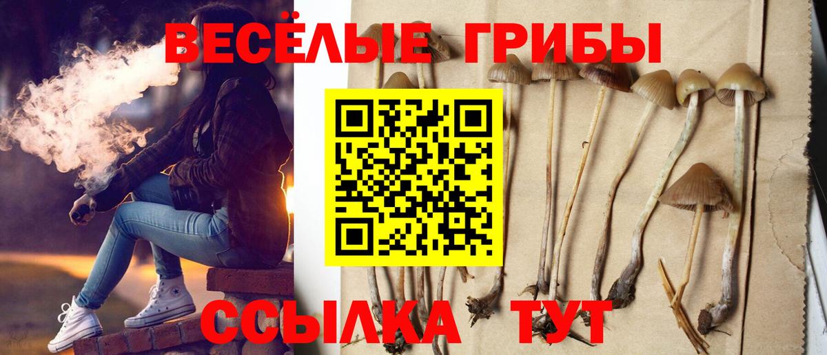 наркошоп  Галлюциногенные грибы MAGIC MUSHROOMS  Вход с VPN  Сорочинск 
